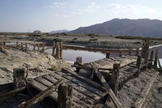 A dried up former boating dock is seen along the Salton Sea Wednesday, July 14, 2021, in Desert Shores, Calif. Demand for electric vehicles has shifted investments into high gear to extract lithium from geothermal wastewater around California's dying Salton Sea. The ultralight metal is critical to rechargeable batteries. Despite widespread availability in the United States, Nevada has the country's only lithium plant, and U.S. production lags far behind Australia, Chile, Argentina and China. California's largest but rapidly shrinking lake is at the forefront of efforts to make the U.S. a major global player, though decades of economic stagnation and environmental ruin have left some residents on its receding shores indifferent or wary. (AP Photo/Marcio Jose Sanchez)
