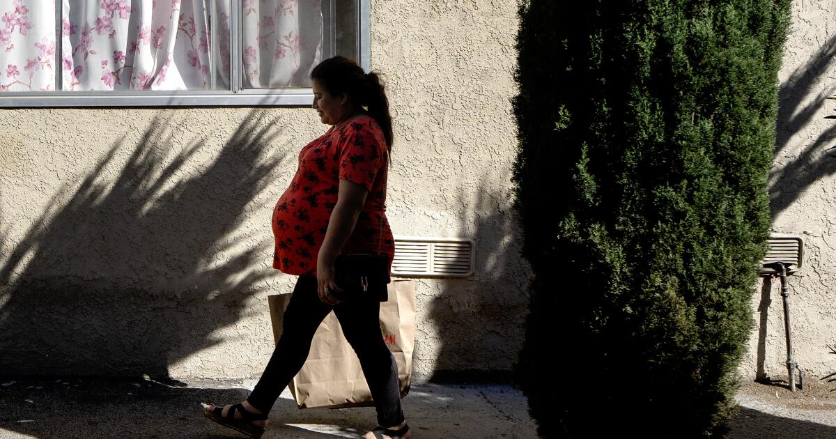 Pregnant migrants detained for months despite rules Pregnant migrants detained for months despite rules