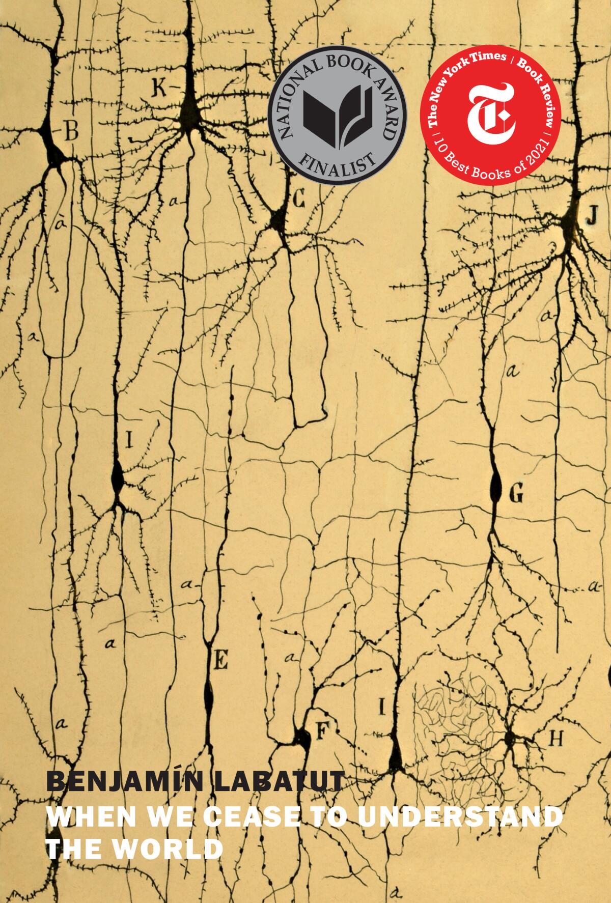 A yellow-ish book cover shows abstracted mappings that resemble synapses