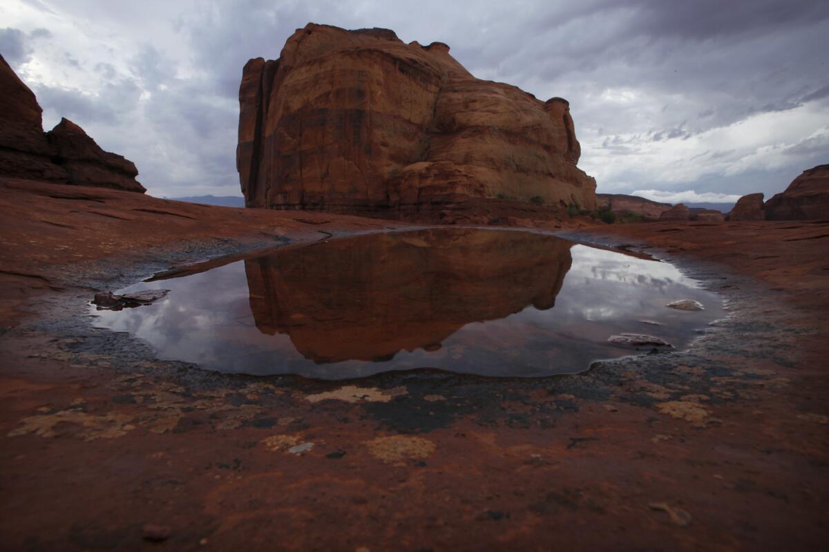 A puddle left by a passing storm reflects the buttes in Monument Valley.