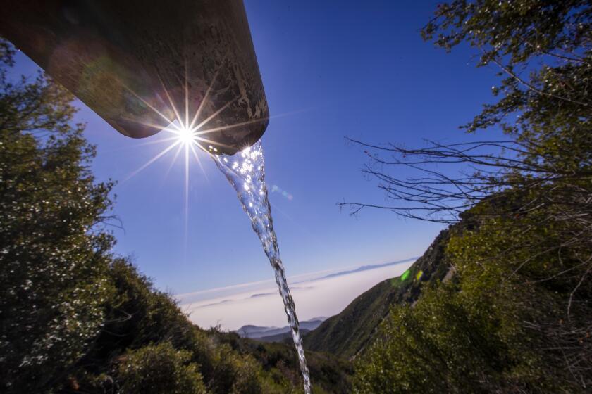 Rimforest, CA - December 04: Water pours out of a pipe beside one of the sites in the San Bernardino Mountains where the company BlueTriton Brands collects water for bottling. Photos taken in San Bernardino National Forest on Saturday, Dec. 4, 2021, near Rimforest, CA. (Allen J. Schaben / Los Angeles Times)