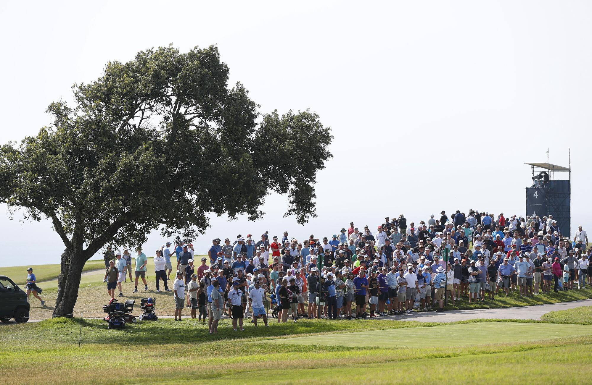 Moyer Foundation Brings Celebrity Golf Tournament to Torrey Pines - The San  Diego Union-Tribune