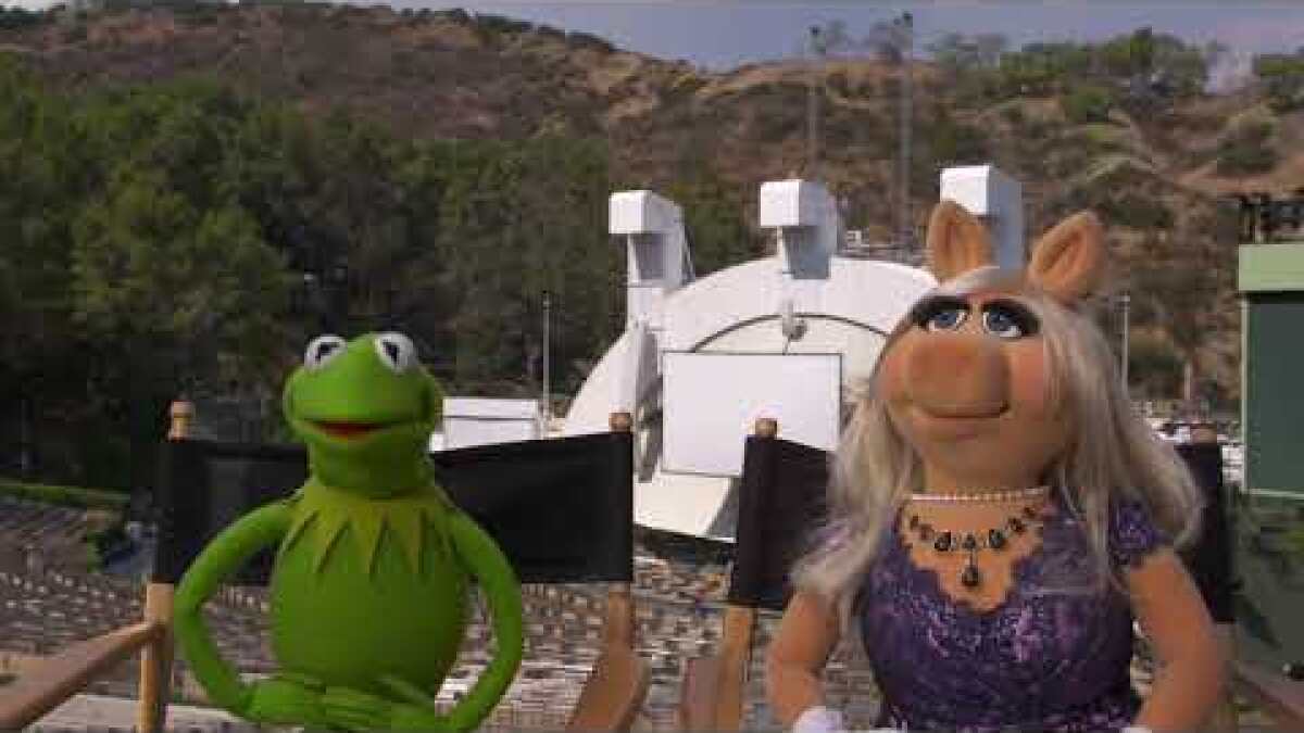 Hollywood and Whine in 2023  Kermit and miss piggy, Piggy muppets, Miss  piggy