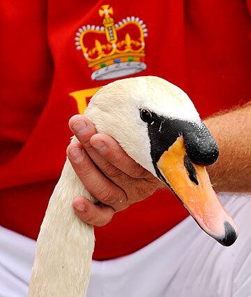 The day in photos: Berkshire, England