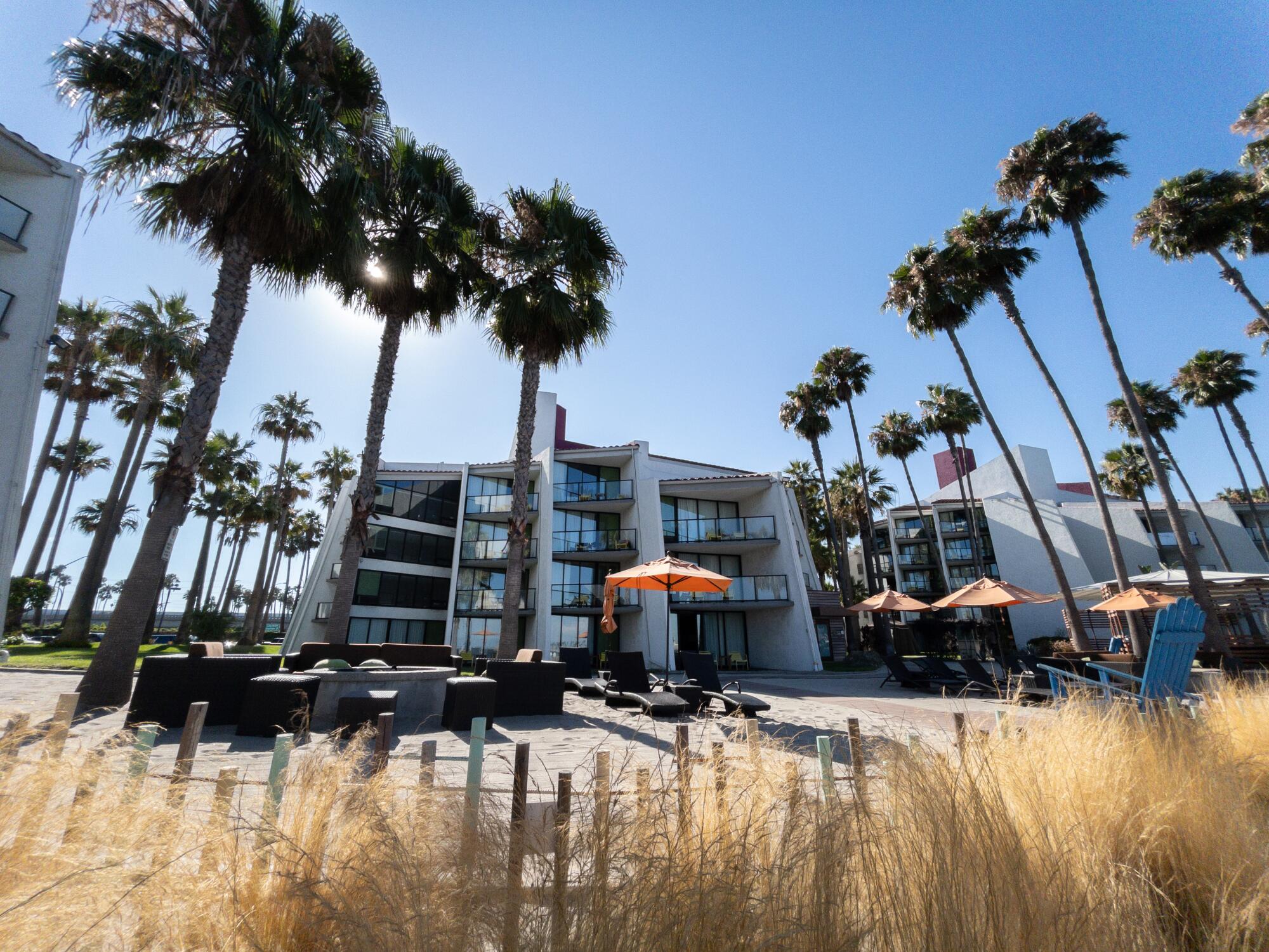 Palm trees frame Hotel Maya in Long Beach. 