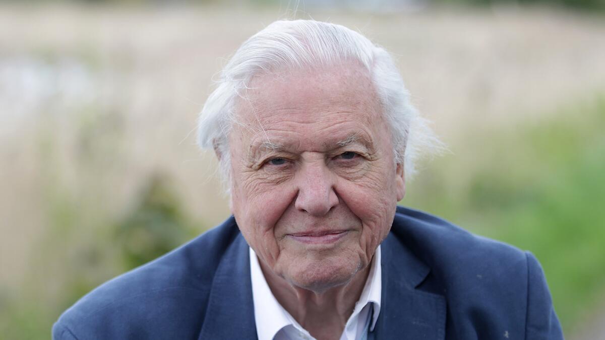 David Attenborough presents the BBC America series "Planet Earth: Blue Planet II," airing on multiple channels.