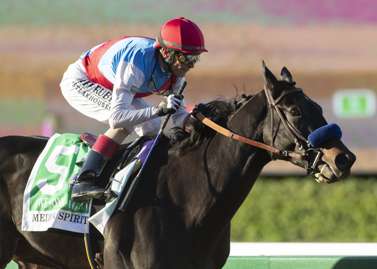 Medina Spirit and jockey John Velazquez after a race in 2021.
