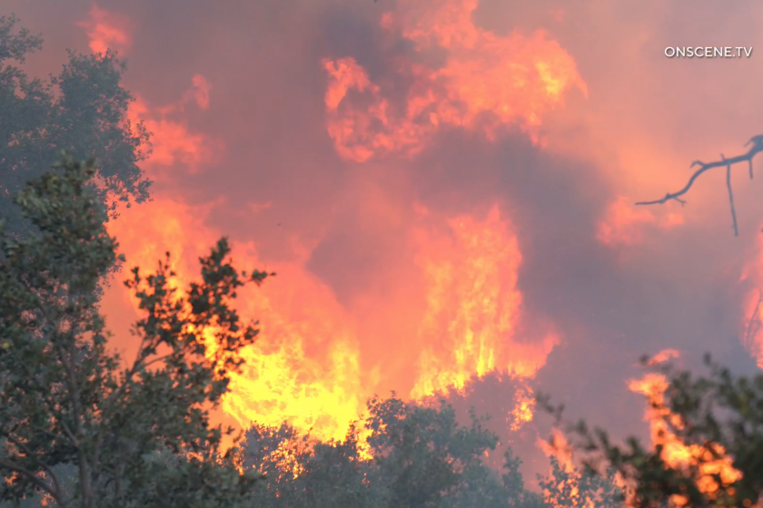 The Line fire burns near the Seven Oaks community in San Bernardino County, which was placed under an evacuation order Monday.