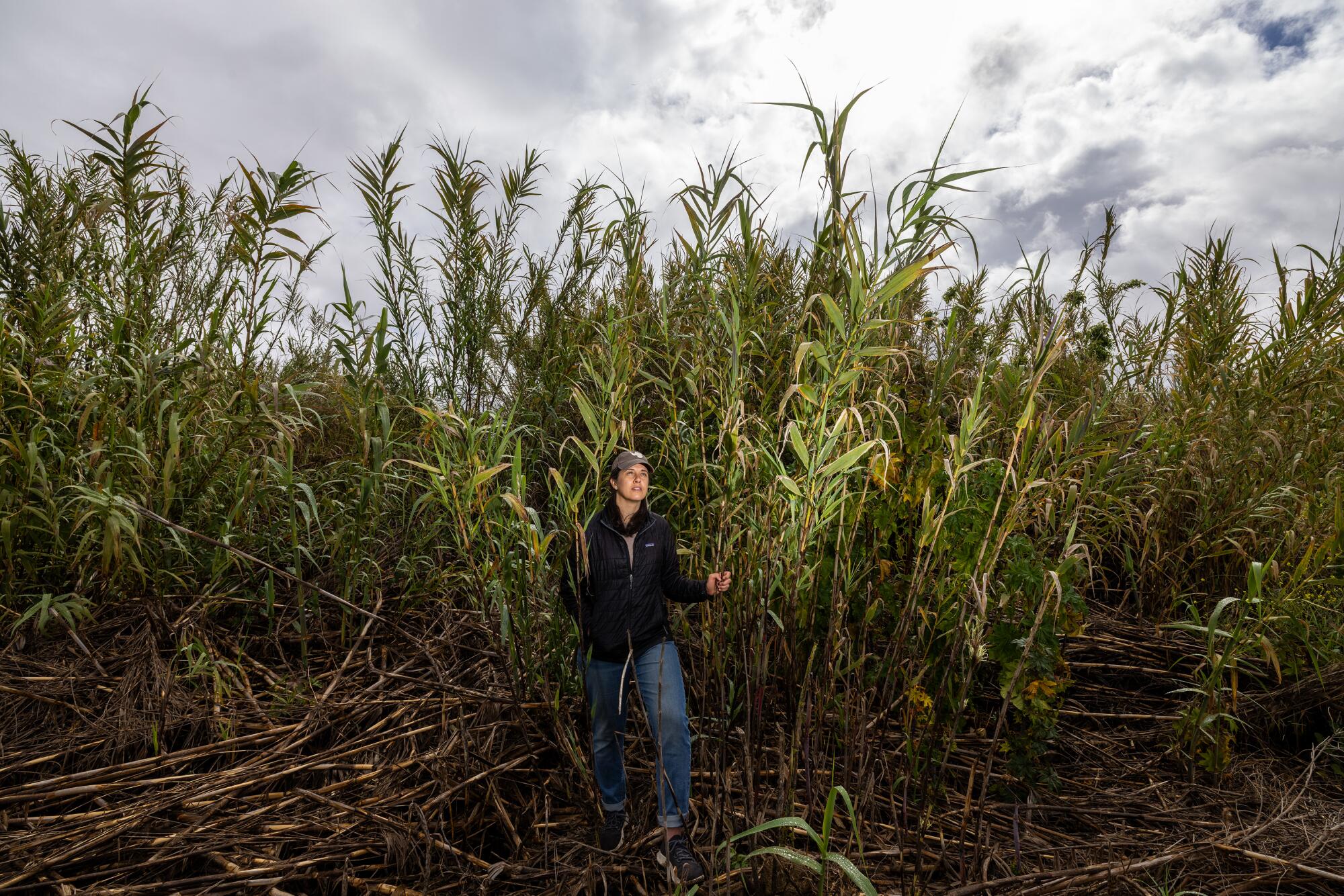 Scientist Melissa Rohde stands beside tall reeds. 