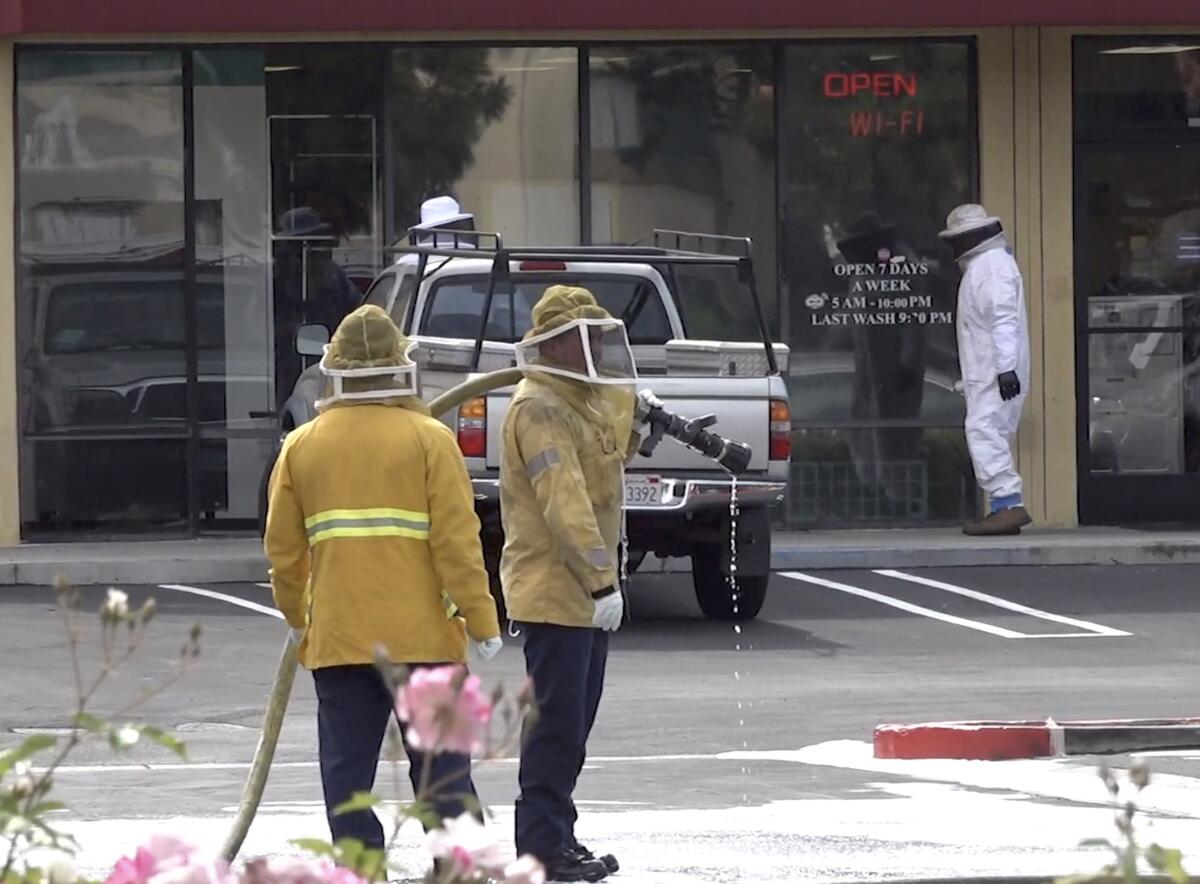 Firefighters wait as beekeepers search for a hive.