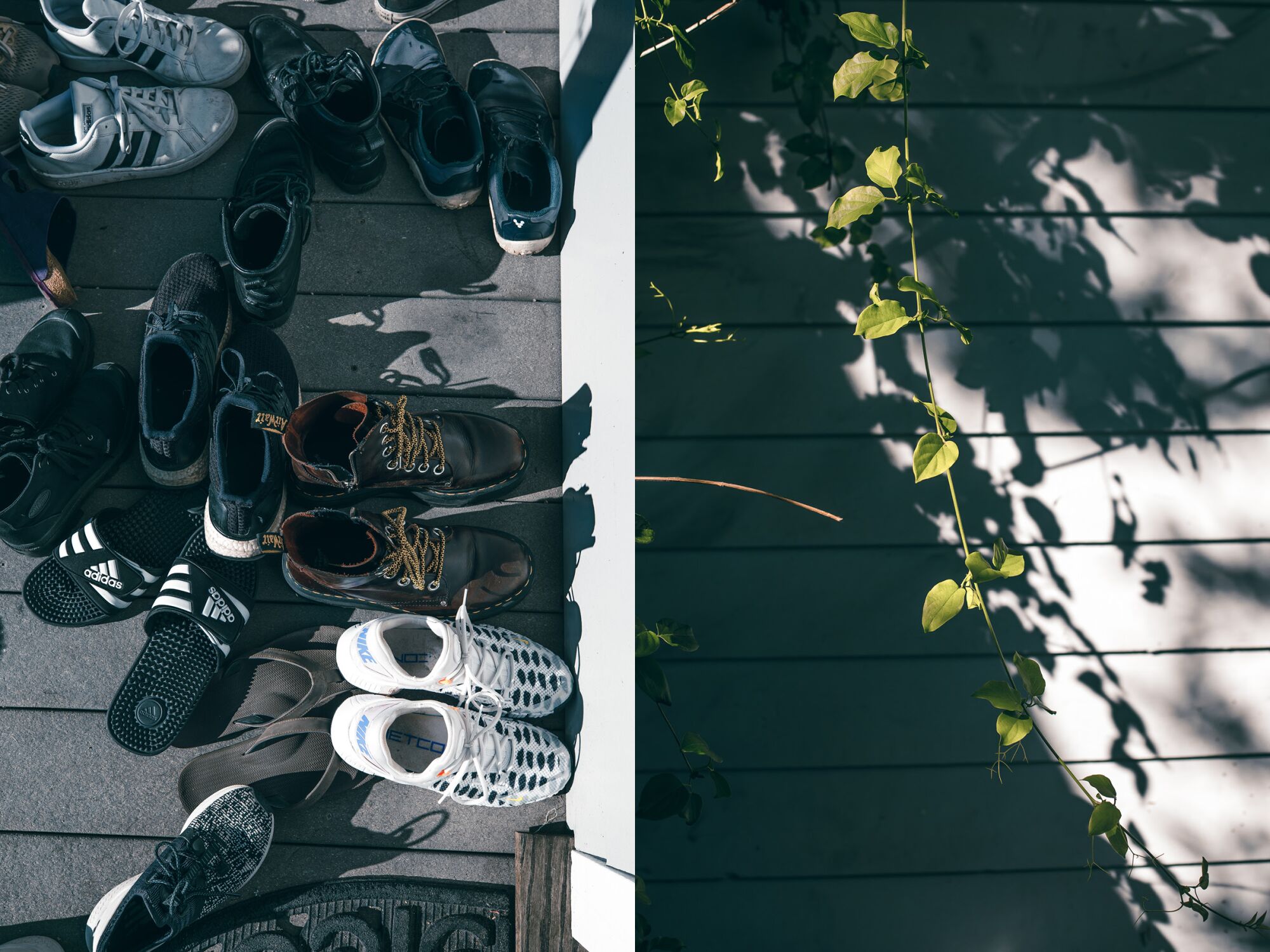 Two pictures side by side, one of shoes on a porch and one of a vine stretching down in the sun.