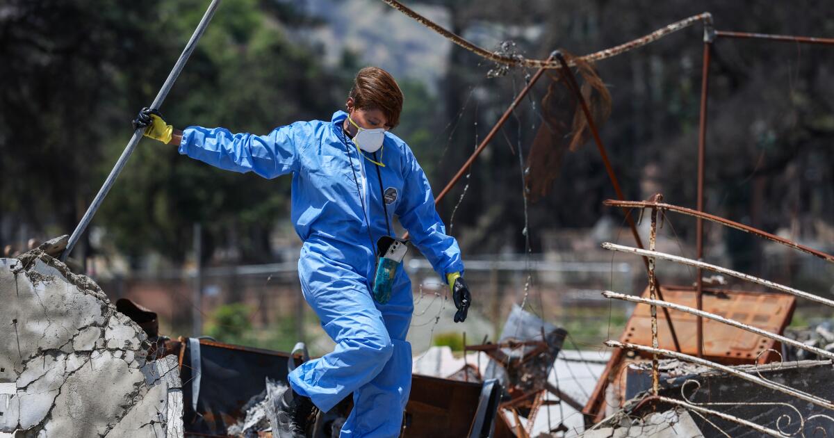 John Outterbridge’s daughter salvages discovered artwork from Altadena ruins John Outterbridge’s daughter salvages discovered artwork from Altadena ruins