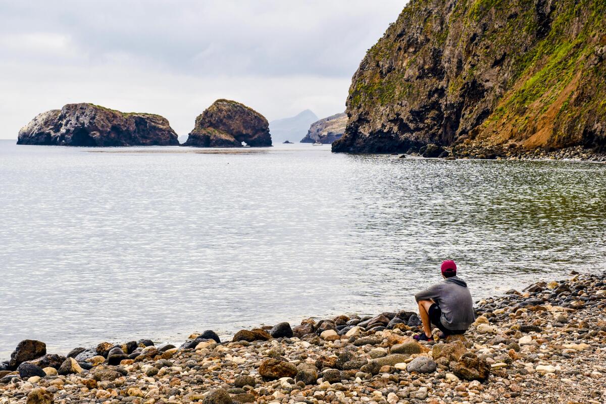 A man sits on a rocky shore looking out at the ocean