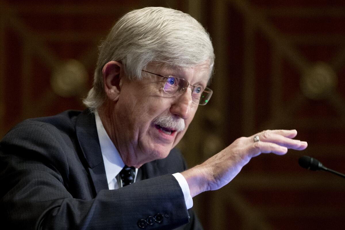 Dr. Francis Collins, then-director of the National Institutes of Health, testifies on Capitol Hill.