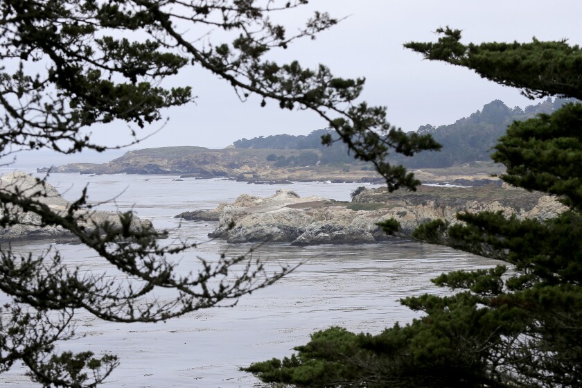 Authorities have arrested a Scottish man who they say faked his death off California's Carmel coast. His son had reported that he went missing during a nighttime swim.