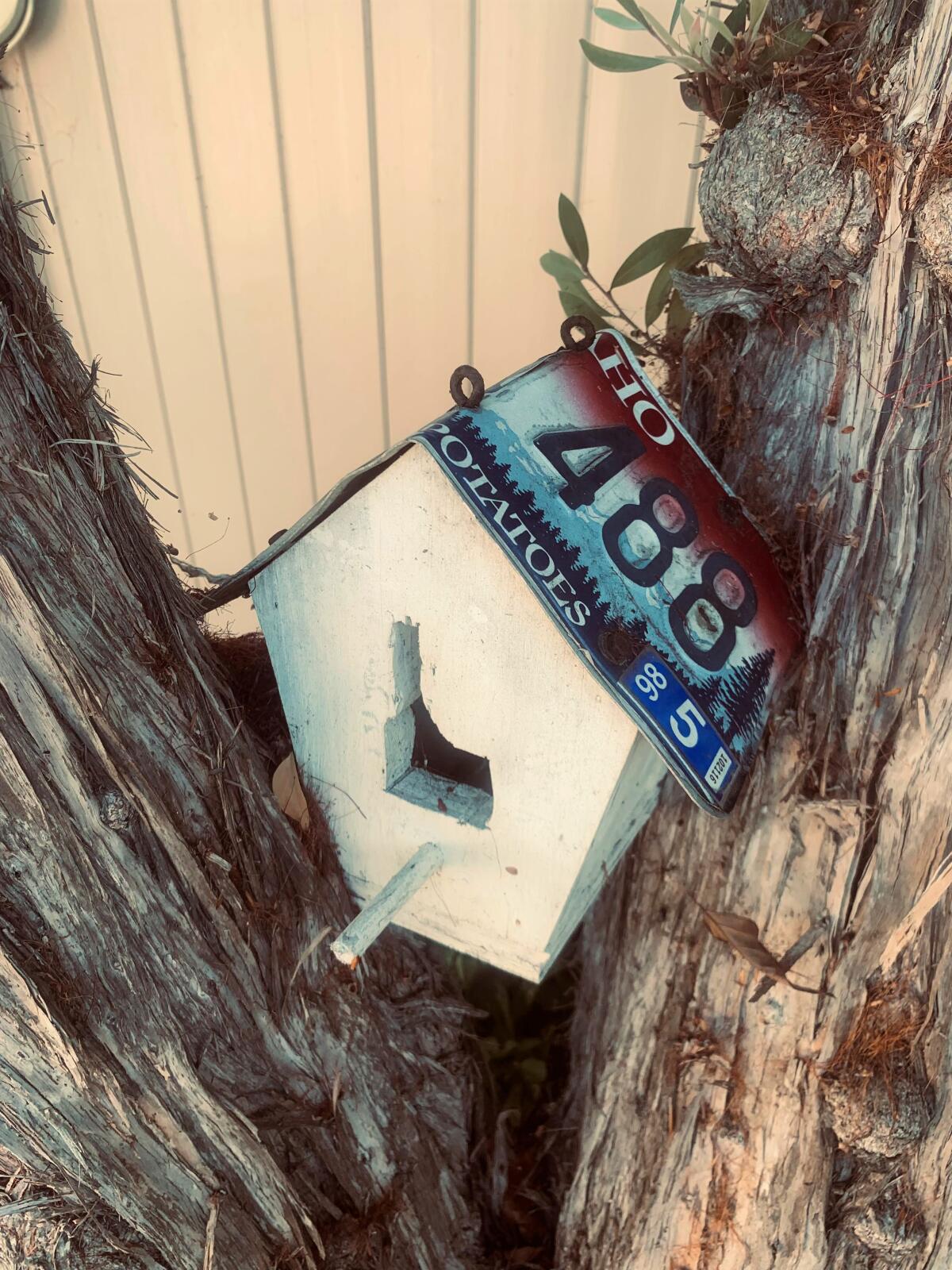 A birdhouse created in 1997 by Huntington Beach's Jason Stout inspired a passion for creating custom items 23 years later.