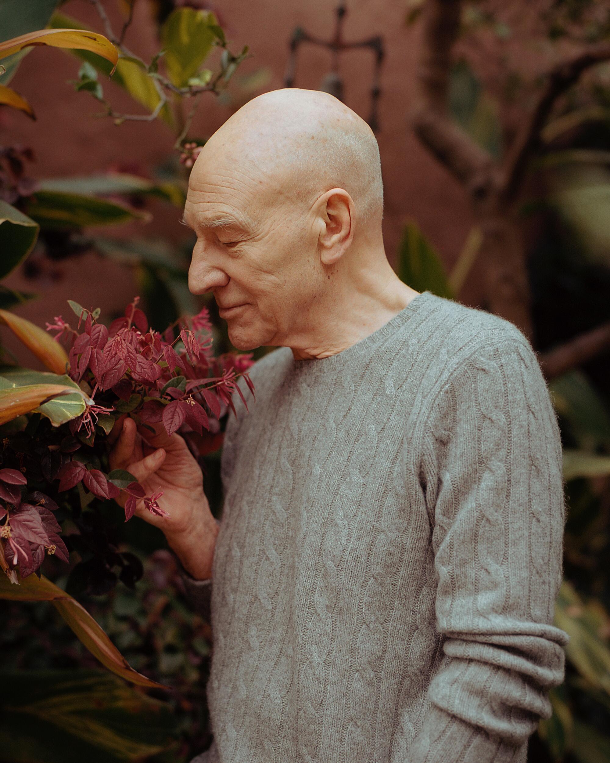 Actor Patrick Stewart closely examines a purple flower.