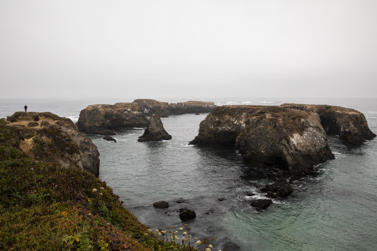 Rugged rocks at Mendocino Headlands State Park. 