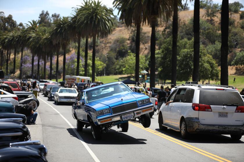 A lowrider cruises through Elysian Park for the Zoot Suit Riots Cruise.