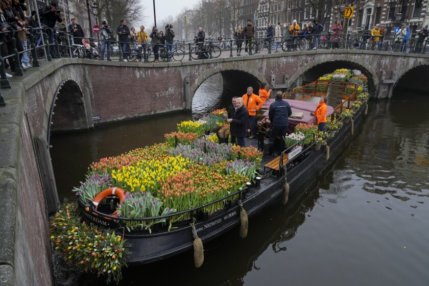 On the day stores in Amsterdam and across the Netherlands cautiously re-opened after weeks of coronavirus lockdown, the Dutch capital's mood was further lightened by dashes of color in the form of thousands of free bunches of tulips handed out by growers from a boat in the canals of Amsterdam, Netherlands, Saturday, Jan. 15, 2022. (AP Photo/Peter Dejong)