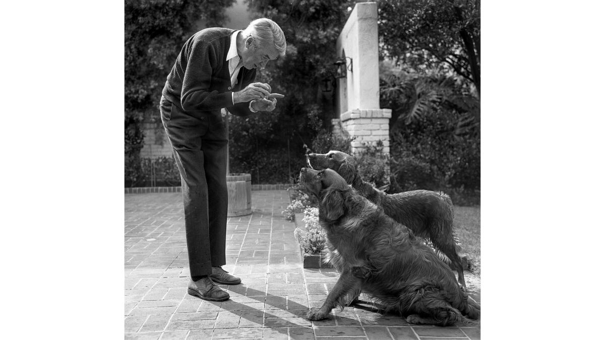June 1970: Actor Jimmy Stewart plays with his dogs during a photo shoot with Los Angeles Times staff photographer Kathleen Ballard.