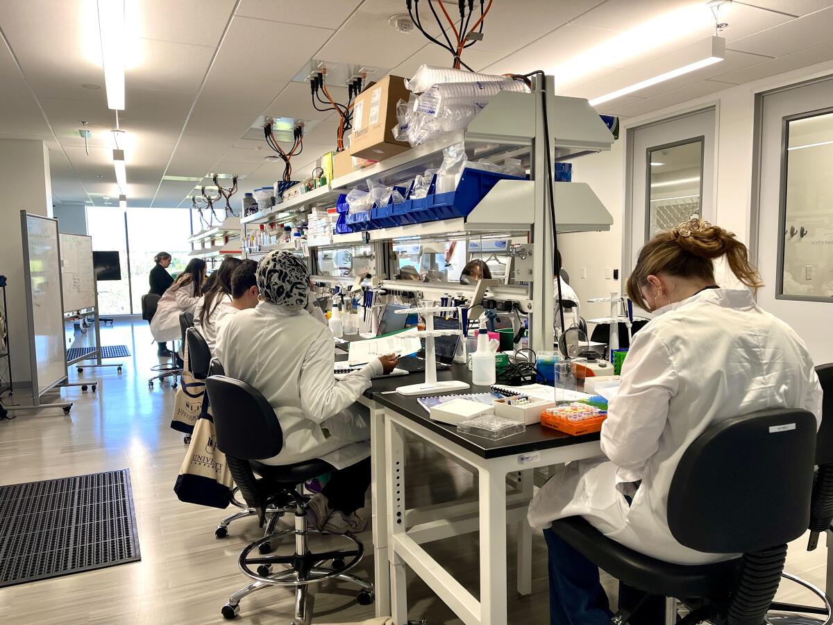 A high school class works in the lab at University Lab Partners in Irvine.