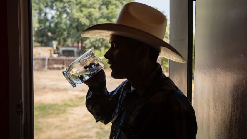 A man drinks a glass of water in Porterville, Calif. on Aug. 19, 2016.