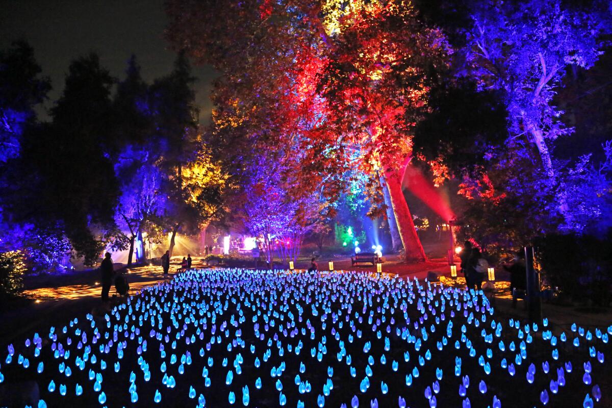 The Flower Power at Descanso Gardens' Enchanted Forest of Light