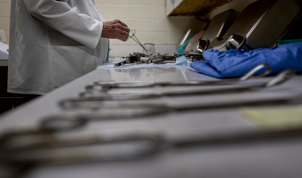 A person in a white coat pictured from the elbows down organizing surgical instruments on a counter.