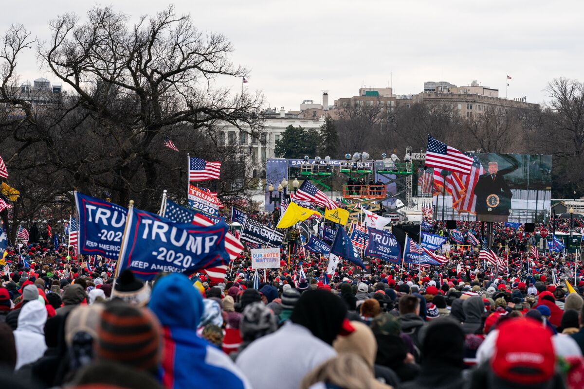 A crowd with Trump signs and American flags watches the then-president speak on a large outdoor screen near the White House