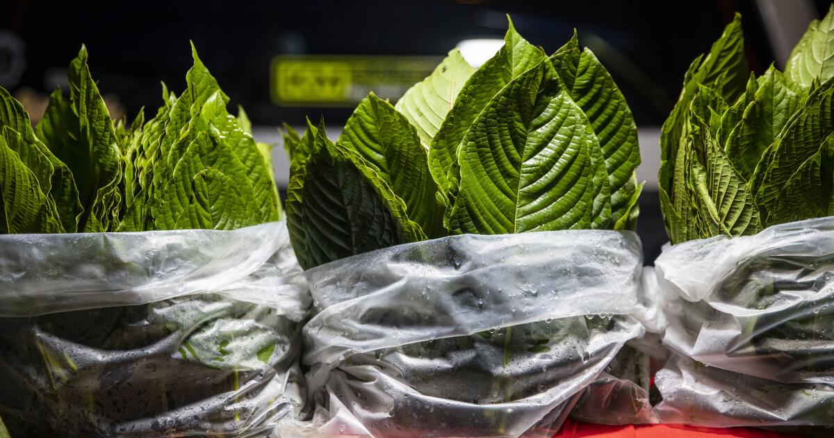 What to know about synthetic kratom, the supplement being banned in SoCal and across the U.S.