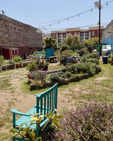 A green bench anchors a yard full of garden beds with string lights up above.