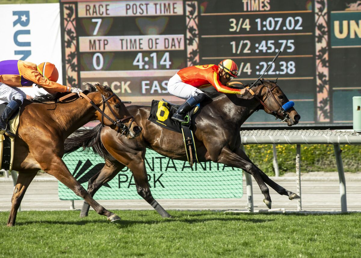 In this image provided by Benoit Photo, Fast and Shiny, right, with Abel Cedillo aboard, wins the $100,000 Angels Flight Stakes horse race Sunday, March 26, 2023, at Santa Anita Park in Arcadia, Calif. (Benoit Photo via AP)