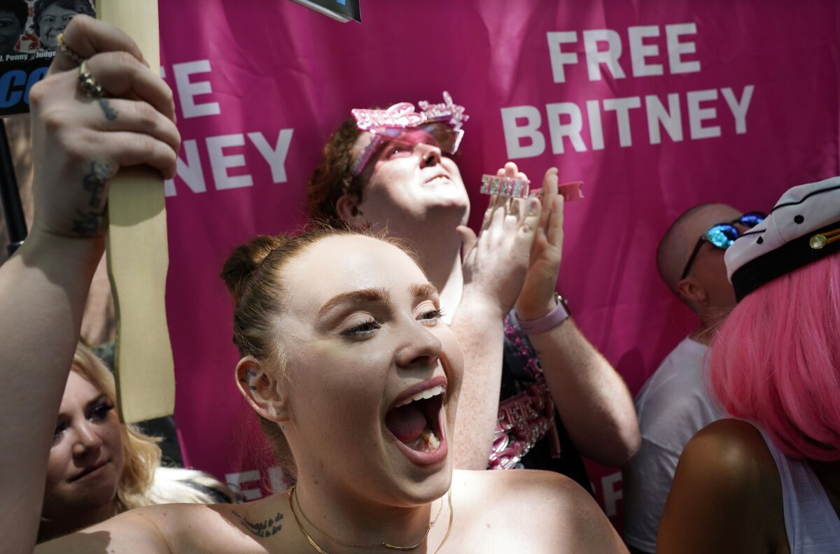 A protester holds a Free Britney banner