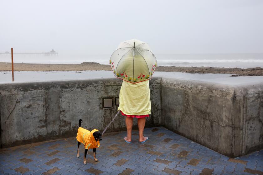 IMPERIAL BEACH, CALIFORNIA - AUGUST 20: A person and dog wear raincoats as they stand near the Pacific Ocean with Tropical Storm Hilary approaching in San Diego County on August 20, 2023 in Imperial Beach, California. Southern California is under a first-ever tropical storm warning as Hilary approaches with parts of California, Arizona and Nevada preparing for flooding and heavy rains. All California state beaches have been closed in San Diego and Orange counties in preparation for the impacts from the storm which was downgraded from hurricane status. (Photo by Mario Tama/Getty Images)