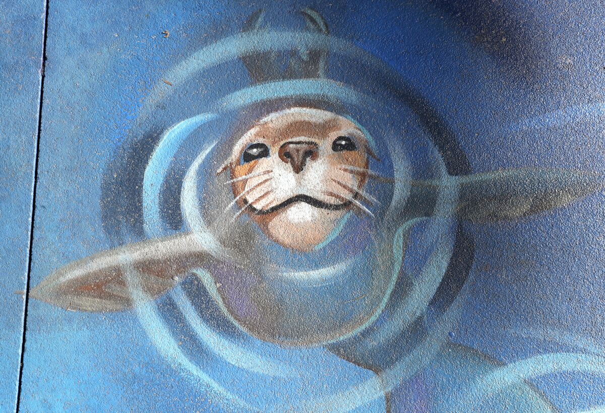 A seal detail by artist Melissa Murphy at her Pacific City mural in Huntington Beach.