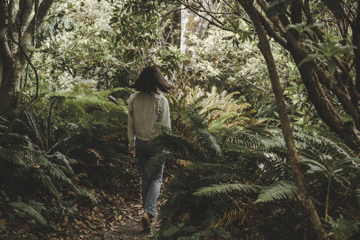 A woman walks through a lush section of a botanical garden filled with trees, ferns and other greenery. 