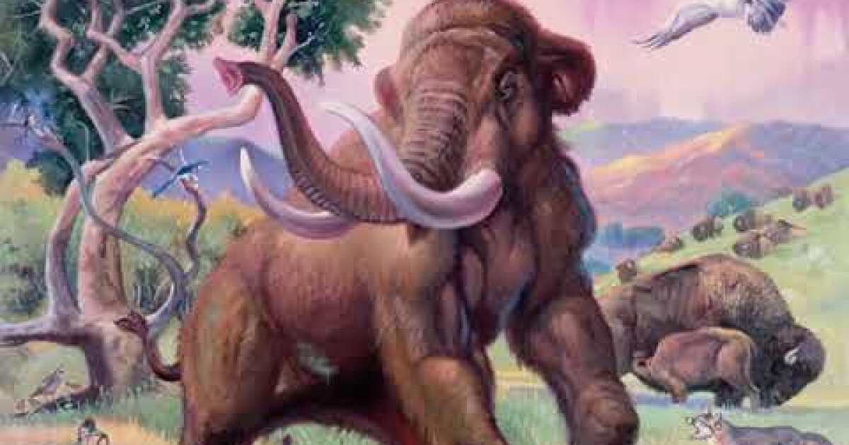 Archaeology as blood sport: How an ancient mastodon ignited debate over  humans' arrival in North America - Los Angeles Times