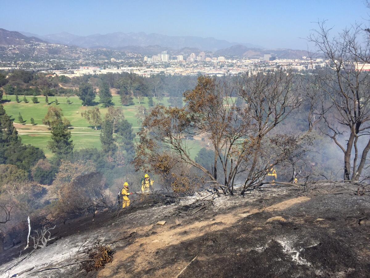Firefighters work on a scorched hillside in Griffith Park.