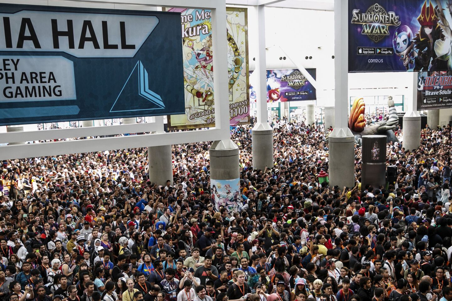 The cosplay view from the Anime Expo