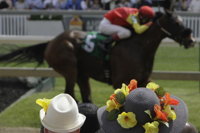 Fans watch the Deputed Testimony Handicap horse race where Fish Whistler (5) with Trevor McCarthy aboard heads to the finish line where he won before the 140th Preakness Stakes horse race at Pimlico Race Course, Saturday, May 16, 2015, in Baltimore. (AP Photo/Garry Jones)