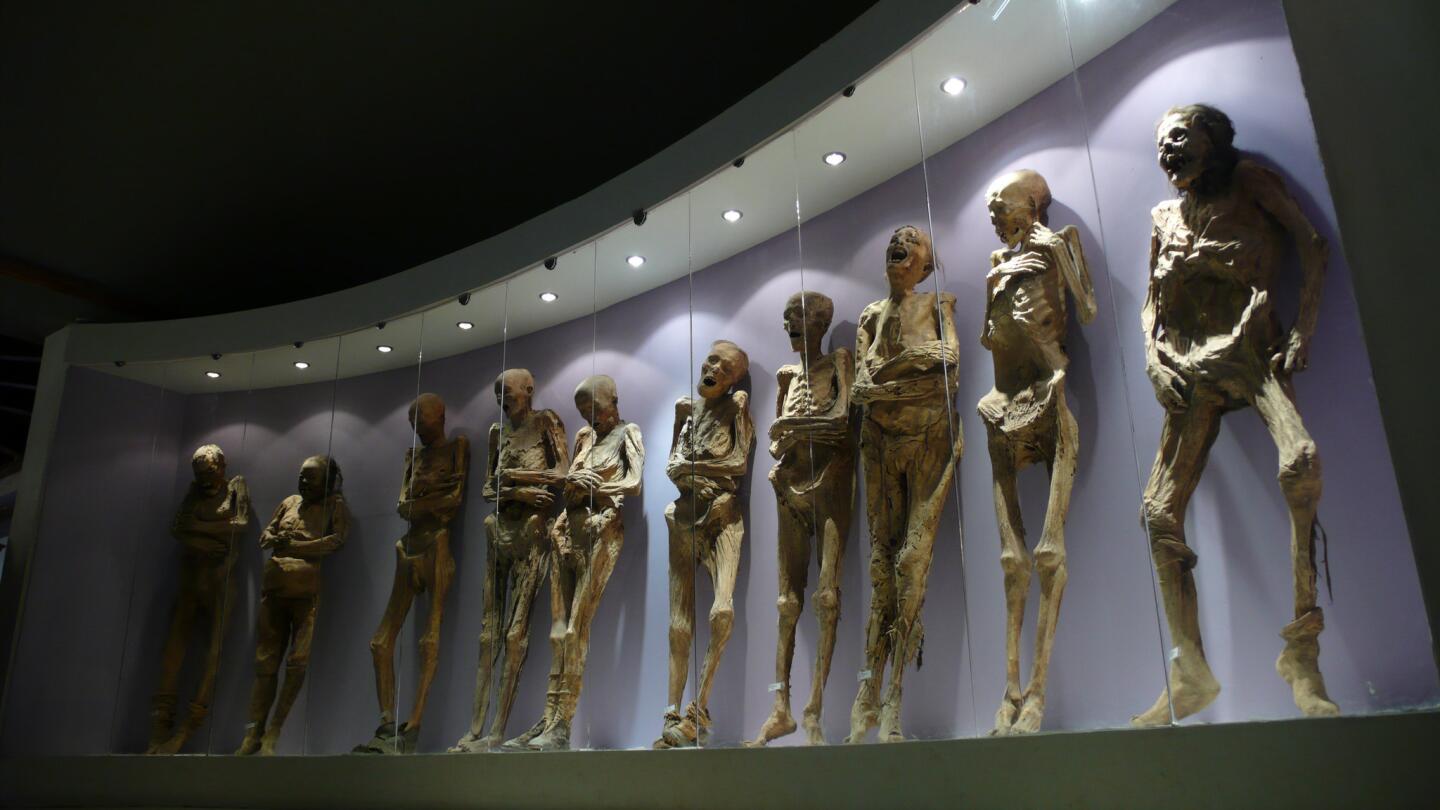 At this museum in central Mexico, you'll find over 100 mummies exhumed from a Guanajuato cemetery between 1870 and 1958. In 1870, a local law required families to pay a tax to ensure that their deceased loved ones stayed buried. The penalty for not paying was disinterment. More info: www.momiasdeguanajuato.gob.mx/english/historia.html