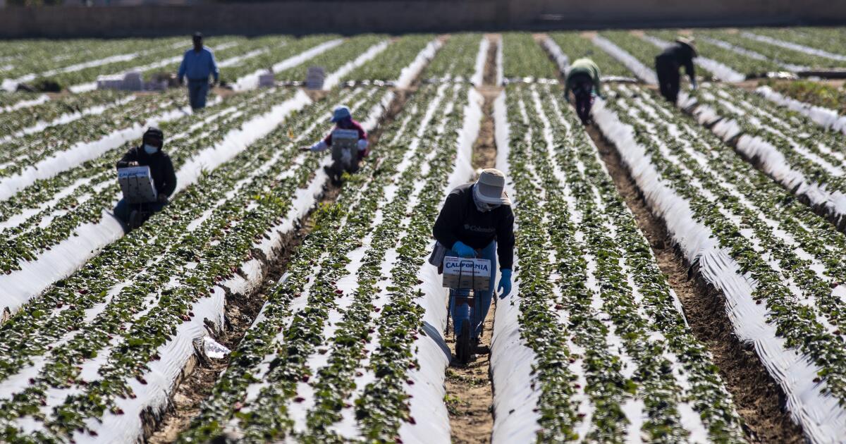 Farm pesticides found floating in California air samples