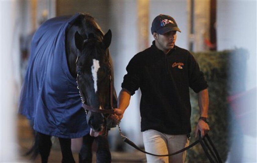 Hot walker Jose Herra walks Kentucky Derby hopeful I Want Revenge after his morning workout for the 135th Kentucky Derby at Churchill Downs Friday, May 1, 2009, in Louisville, Ky. (AP Photo/Charlie Riedel)