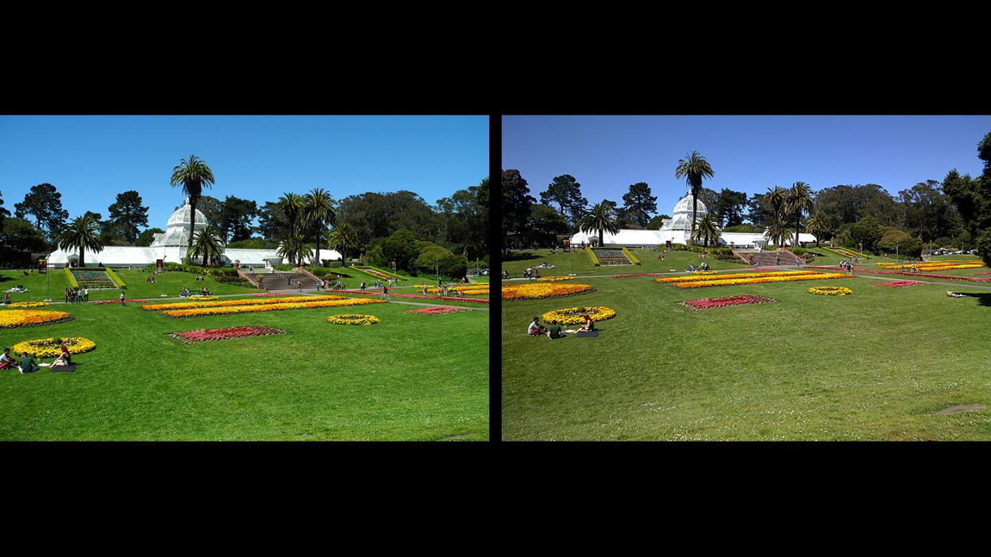 San Francisco's Conservatory of Flowers | Winner: Glass