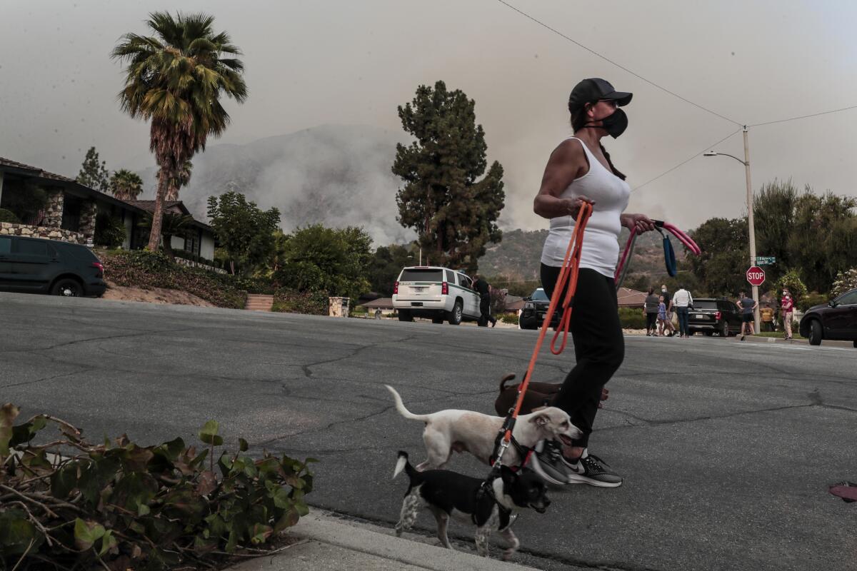 Claudia Alcaino walks her dogs in Arcadia on Sunday as crews battle the Bobcat fire in Angeles National Forest.