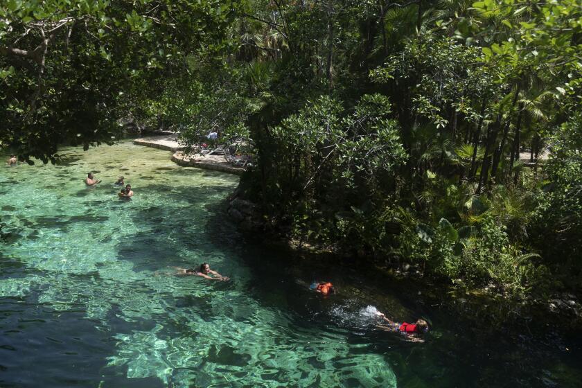 Tourists swim in a cenote, a natural deep-water wells, in Playa del Carmen, one of the proposed stops along the Maya Train project in Quintana Roo state, Mexico, Wednesday, Aug. 3, 2022. Mexican President Andrés Manuel López Obrador dismisses critics of his Maya Train project as “pseudo environmentalists” funded by foreign governments, while some locals fear it will pollute the caves that supply them with water. (AP Photo/Eduardo Verdugo)