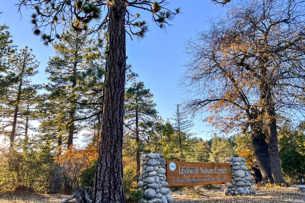 A photograph of the Nature Center sign in Idyllwild.