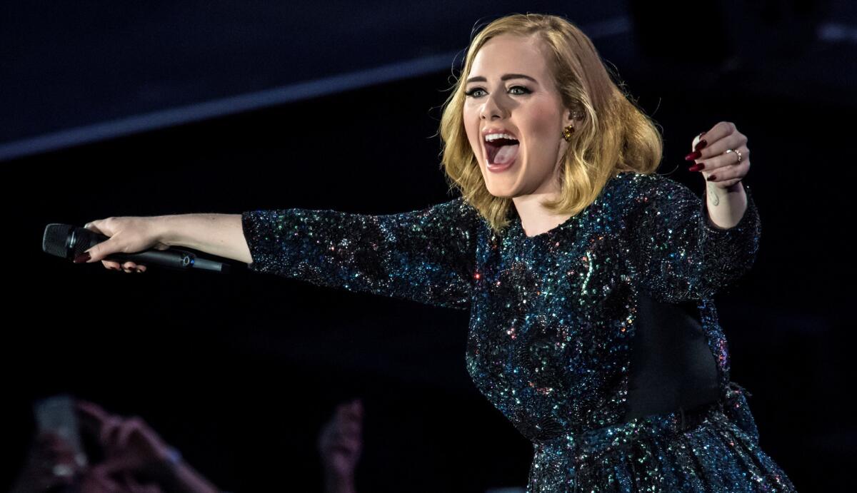 Adele's custom Burberry gown includes sequin-free underarm panels, as seen at her Verona, Italy, tour stop on May 28.