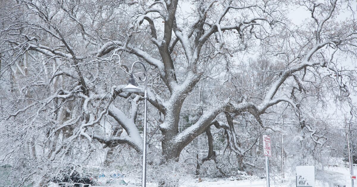 Images: Newest storm brings blanket of snow to Grapevine